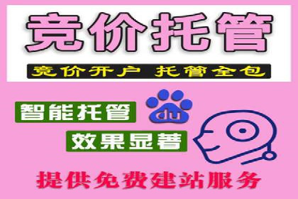 SEM代运营经典案例：提升品牌影响力